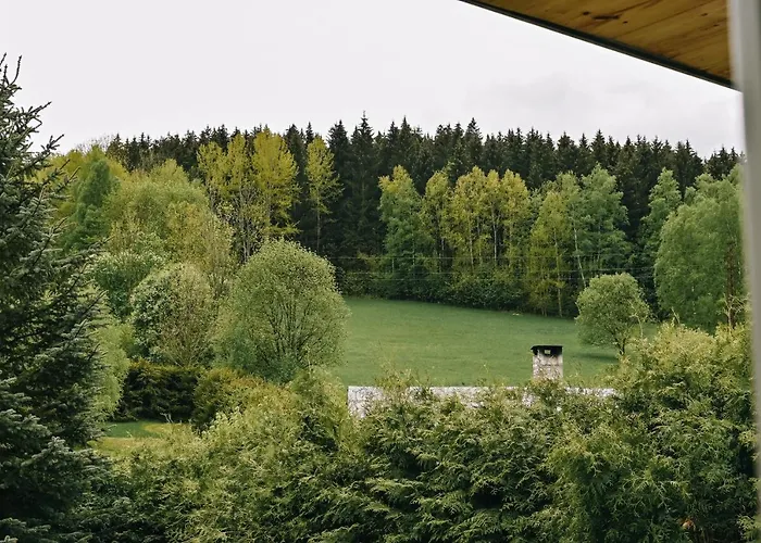 U Kostela Appartement Lipová-lázně